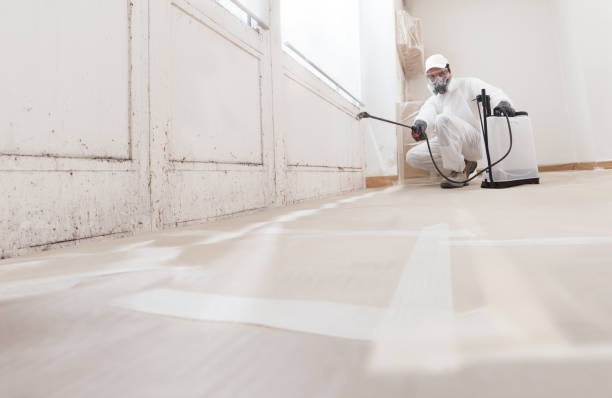 24/7 Emergency Mold Removal experts in Lawrenceville, NJ
