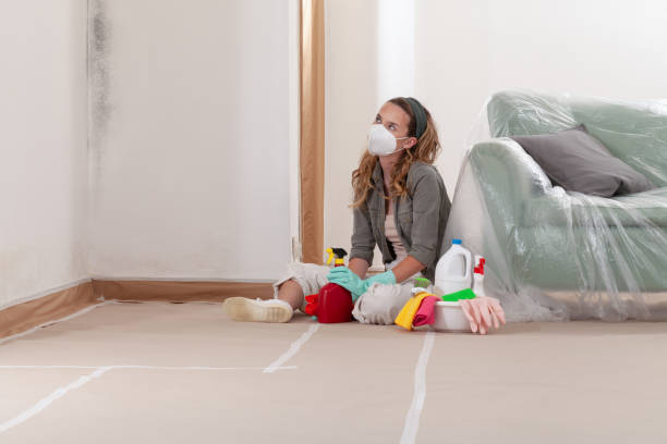 Reliable Mold Cleanup contractor in Lawrenceville, NJ by Cheap Mold Removal